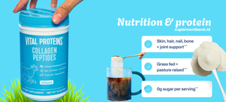Nutrition & Protein